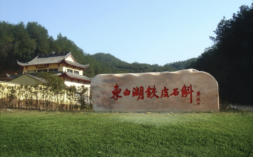 东白湖铁皮石斛原生态种植基地